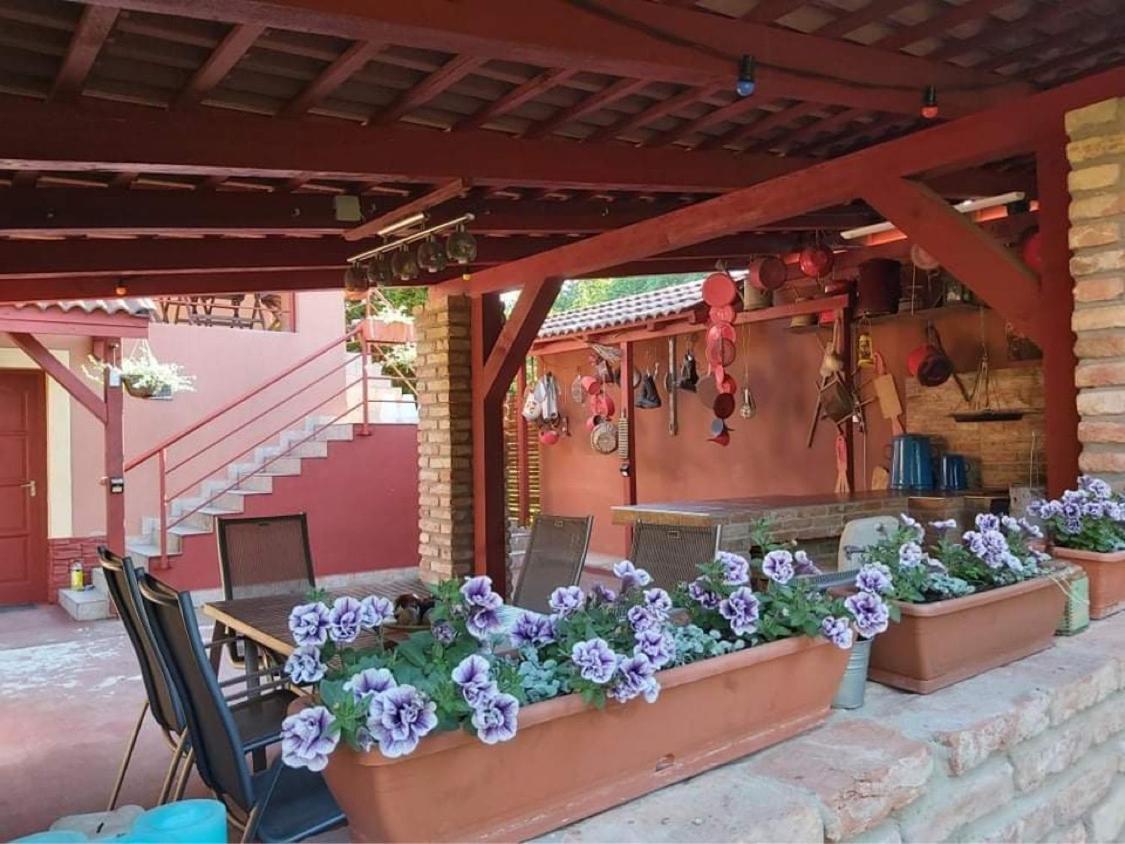 Nyirjes Vendeghaz Hotel Balassagyarmat Bagian luar foto