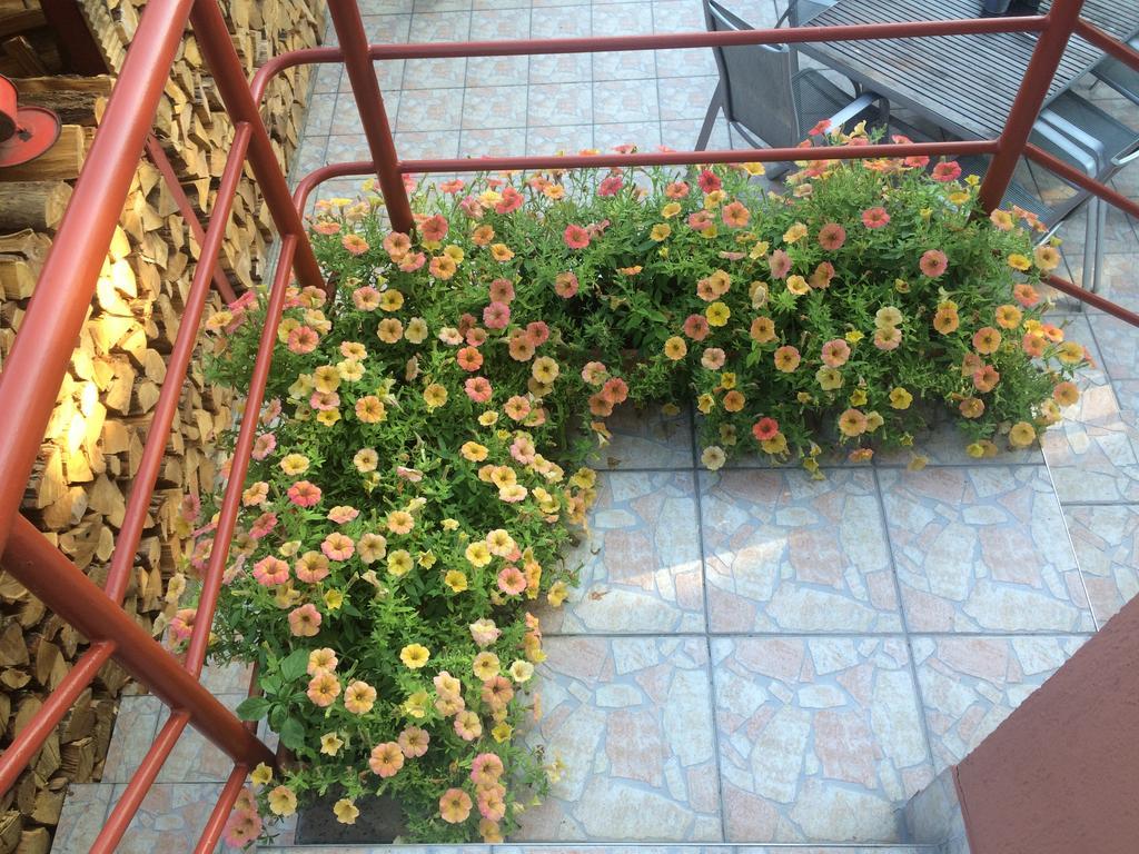 Nyirjes Vendeghaz Hotel Balassagyarmat Bagian luar foto