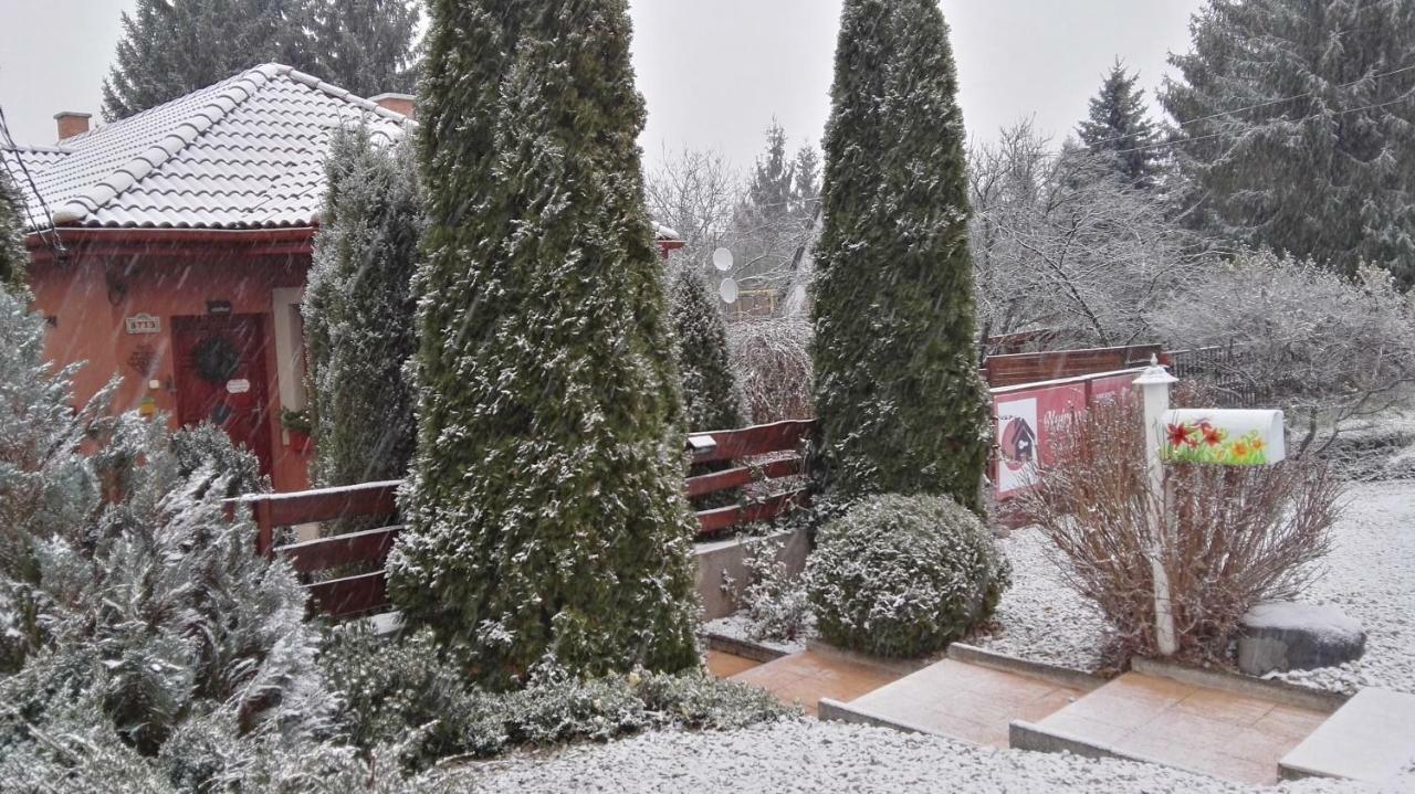 Nyirjes Vendeghaz Hotel Balassagyarmat Bagian luar foto
